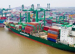 Container Việt Nam (VSC) trả cổ tức đợt 2/2019 bằng tiền, tỷ lệ 12%