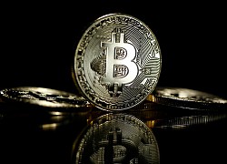 Giá Bitcoin hôm nay 17/8: Bitcoin chạm mốc 11.800 USD