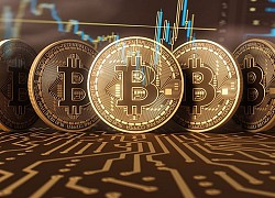 Giá Bitcoin hôm nay ngày 17/8: Tăng nhẹ 30 USD/BTC, giá Bitcoin vẫn chưa thể chinh phục mốc 12.000 USD