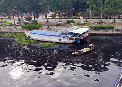 Long Mỹ, Hậu Giang: Nước trên sông cái có màu đen, hôi thối