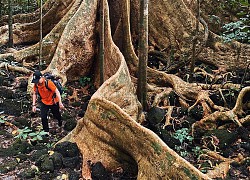 Ngủ đêm ở đầm đầy cá sấu