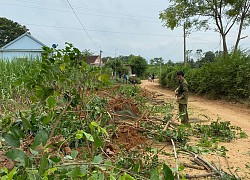 Người dân huyện Nghĩa Đàn tự nguyện hiến đất mở rộng tuyến đường miền Tây