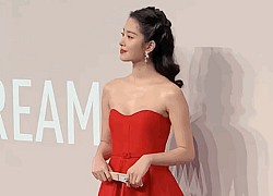 Người tình của cha nuôi Lưu Diệc Phi: Nhan sắc chẳng kém "thần tiên tỷ tỷ", style đẹp như gái Pháp khiến dân tình mê mẩn