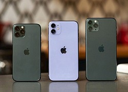 Nhiều mẫu iPhone đồng loạt rớt giá, cao nhất lên tới 5 triệu đồng