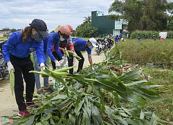 Nông dân tặng 6.000 kg rau cho người dân vùng phong toả