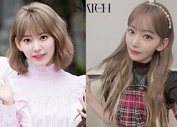 Sakura (IZONE) khiến fan tranh cãi nên để tóc ngắn hay dài