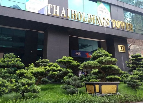 Thaiholdings huy động tiền từ cổ đông để thâu tóm lại Thaigroup