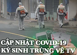 Thêm 7 ca nhiễm covid 19 mới;BTV VTV xin lỗi khán giả