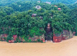 Tứ Xuyên cảnh báo lũ cao nhất, nước dâng tới chân tượng Đại Phật