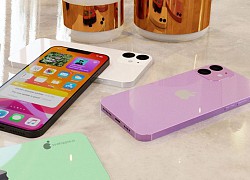 Apple bất ngờ hé lộ ngày ra mắt iPhone 12?