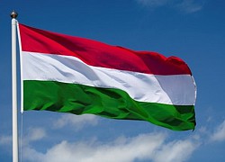 Điện mừng nhân dịp kỷ niệm Quốc khánh Hungary