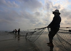 Người phụ nữ trẻ đang kéo lưới cá thì bị lôi tuột xuống dưới đầm, dân tình xôn xao phát hoảng vì "thủy quái" lạ mắc trong lưới