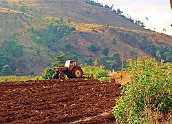 Phong cảnh Việt Nam, mỏ vàng của nhiếp ảnh