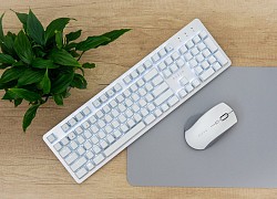 Razer ra mắt chuột không dây công thái học Pro Click, giá 99 USD