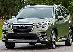 Subaru Forester giảm giá gần 130 triệu đồng, quyết đấu Honda CR-V và Mazda CX-5