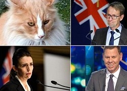 Thủ tướng Jacinda Ardern và mèo Mittens cạnh tranh giải &#039;Gương mặt New Zealand của năm&#039;