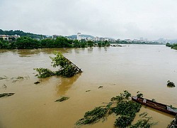 Trung Quốc xả lũ xuống sông Hồng, Lào Cai, Yên Bái trực xuyên đêm, sẵn sàng ứng phó