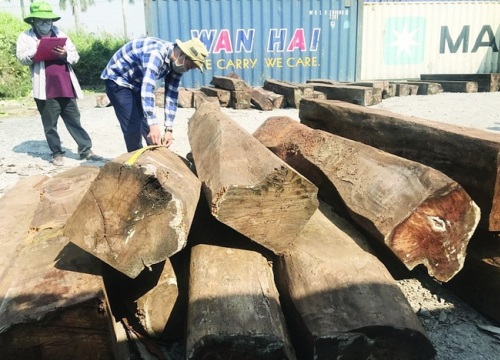 60 container gỗ ở cảng Cát Lái không người nhận