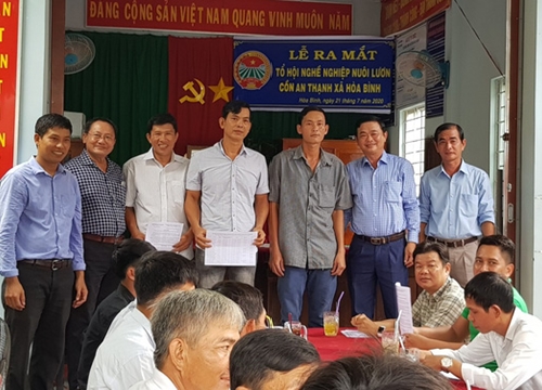 An Giang: Làm chuồng trên đồng nuôi lươn la liệt, nông dân rủ nhau vào chi hội nghề nghiệp để làm giàu
