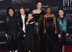 Angelina Jolie: "Chỉ các con mới hiểu tôi"