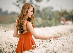 Anh có thích cô gái với cái đầu lạnh không
