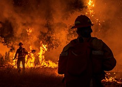 California cầu cứu vì gần 600 vụ cháy rừng giữa "bão" COVID-19