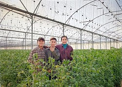 Chàng kiến trúc sư trẻ kể chuyện làm nông ở Israel