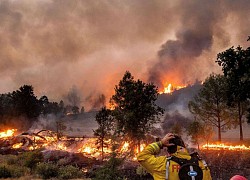 Cháy rừng ở California: Hàng trăm ngàn người phải sơ tán, Tổng thống Mỹ phê duyệt tuyên bố thảm họa