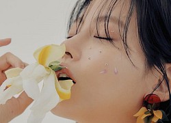 Chế độ ăn kiêng nào giảm mụn trứng cá kinh niên?