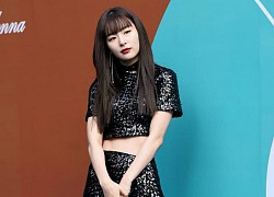 Chỉ cao hơn 1m60, Seulgi vẫn "cân" mọi style, nhiều pha lên đồ xuất sắc như cao 1m70