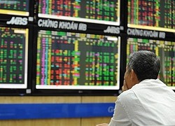 CIG được đưa ra khỏi diện cảnh báo