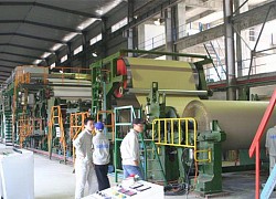 Cổ phiếu kỳ lạ: Hapaco tăng trần 12 phiên liên tiếp vẫn dưới mệnh giá