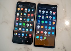 Galaxy S9 và Note 9 vẫn được cập nhật sớm One UI 2.5