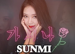 Gashina - Đóa hoa hồng hoang dại mang tên Sunmi