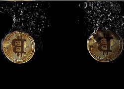 Giá bitcoin hôm nay 22/8: Giảm mạnh đồng loạt