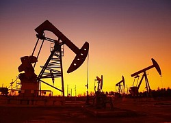Giá xăng dầu hôm nay (24/8): Dầu thô &#8216;bật dậy&#8217; sau 1 tuần chịu nhiều áp lực