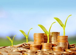 Giao dịch chứng khoán sáng 24/8: Dòng tiền lớn nhập cuộc