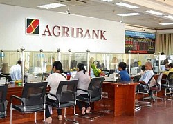 Lợi nhuận 6 tháng của Agribank giảm 13% so với cùng kỳ