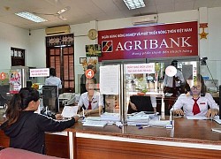 Nguồn thu chính giảm, Agribank báo lợi nhuận 6 tháng lao theo, nợ xấu tới hơn 24.000 tỷ