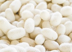 Ổ cứng làm từ tơ tằm