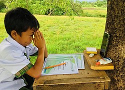 Philippines: Ông ngoại làm chòi gỗ giữa cánh đồng cho cháu trai học online