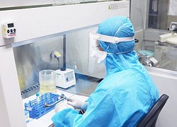 Quy trình lấy mẫu xét nghiệm nCoV bằng phương pháp rRT-PCR