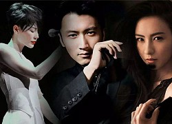 Nguyên nhân Tạ Đình Phong ly hôn với Trương Bá Chi để ở bên cạnh Vương Phi