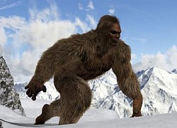 Tìm ra chân tướng quái vật người tuyết Yeti nổi tiếng