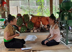 Triển khai mô hình nông nghiệp đảm bảo dinh dưỡng: Giải quyết "nạn đói tiềm ẩn"