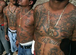 Trùm mafia Mexico bị tuyên án 50 năm tù do sát hại nhà báo