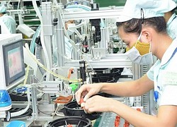 6 tháng cuối năm 2020: Những ngành được dự báo triển vọng