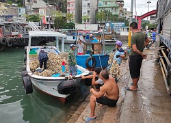 Đổ ngao hai cùi xuống biển vì không ai mua: Những chia sẻ "đắng lòng" của ngư dân Vân Đồn