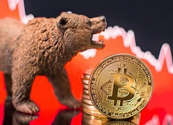 Giá Bitcoin hôm nay 26/8: Bitcoin giảm thê thảm, 15 tỷ USD 'bốc hơi'