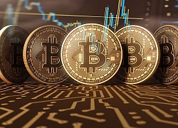 Giá Bitcoin hôm nay ngày 25/8: Tăng hơn 100 USD, Bitcoin hiện đang giao dịch tại mức 11.786 USD/BTC